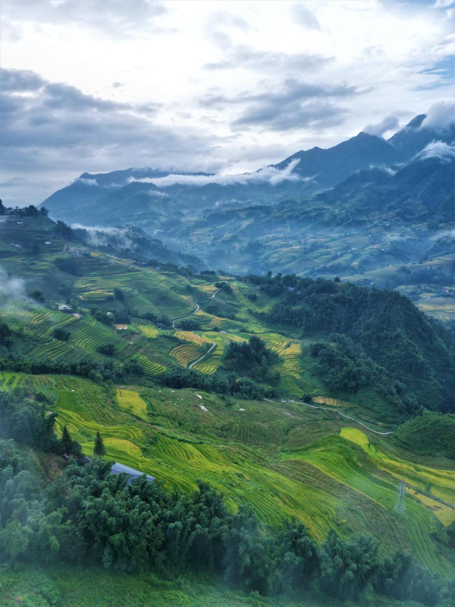 Phansi - Glamping, View Point 360, Bar & Bbq Sapa Dış mekan fotoğraf