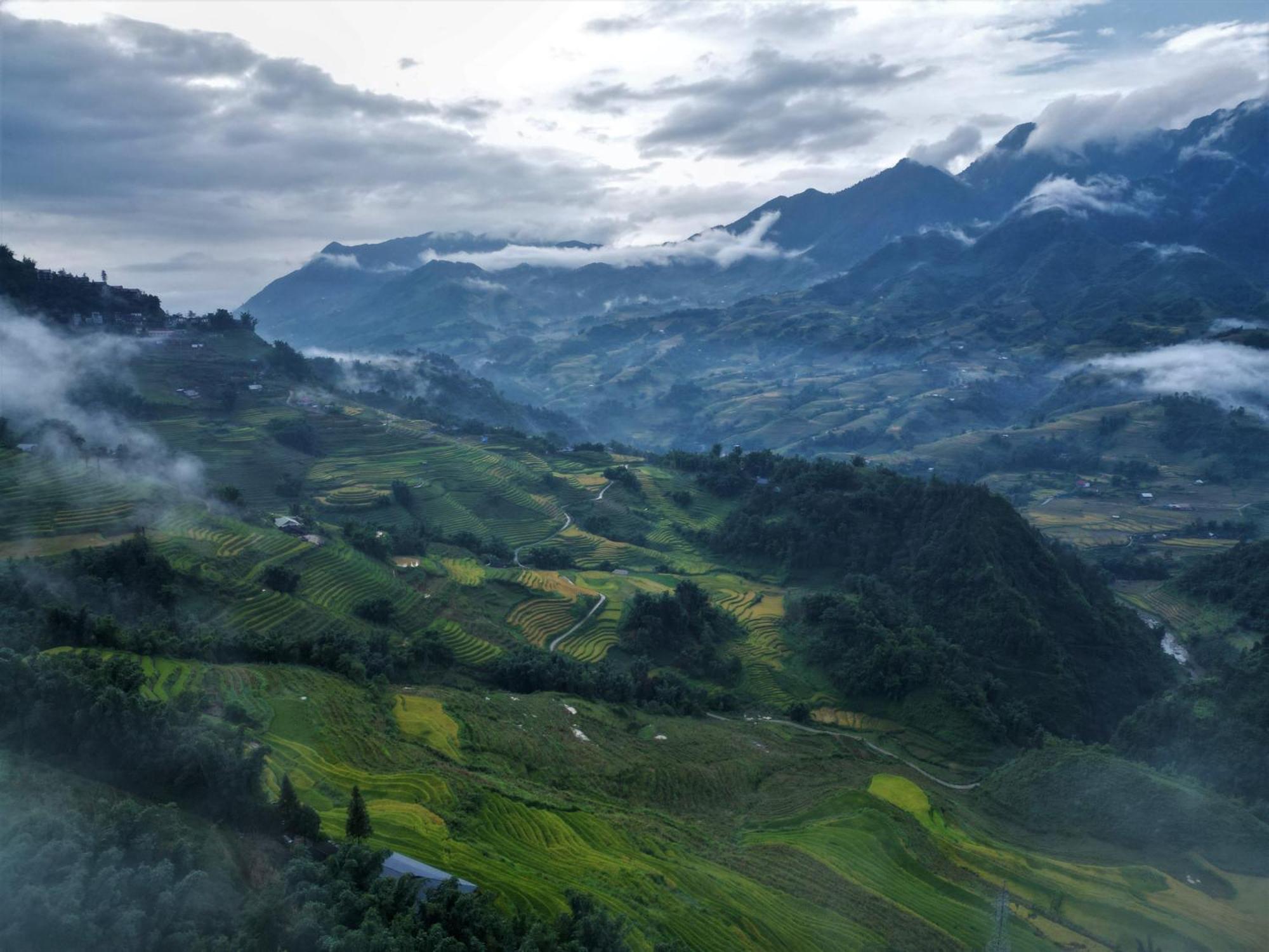 Phansi - Glamping, View Point 360, Bar & Bbq Sapa Dış mekan fotoğraf